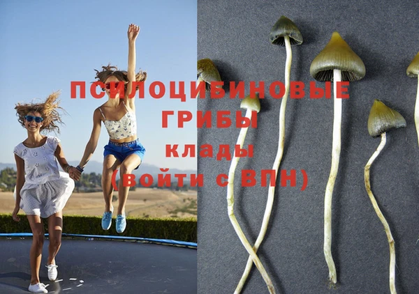 наркотики Володарск